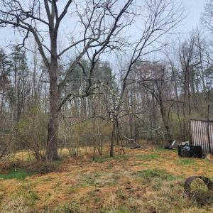 Photo #11 of 8228 FLIPPO DR, FREDERICKSBURG, VA 18.6 acres