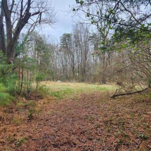 Photo #1 of 8228 FLIPPO DR, FREDERICKSBURG, VA 18.6 acres