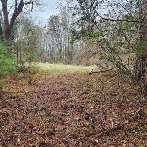 Photo #12 of 8228 FLIPPO DR, FREDERICKSBURG, VA 18.6 acres