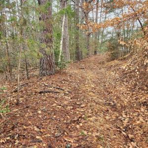 Photo #13 of 8228 FLIPPO DR, FREDERICKSBURG, VA 18.6 acres