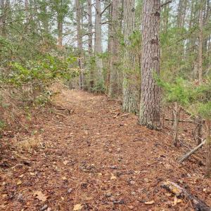 Photo #15 of 8228 FLIPPO DR, FREDERICKSBURG, VA 18.6 acres