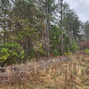 Photo #2 of 8228 FLIPPO DR, FREDERICKSBURG, VA 18.6 acres