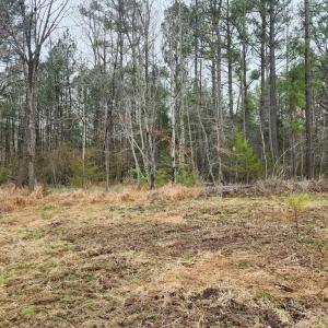 Photo #3 of 8228 FLIPPO DR, FREDERICKSBURG, VA 18.6 acres