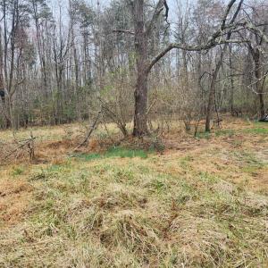 Photo #7 of 8228 FLIPPO DR, FREDERICKSBURG, VA 18.6 acres