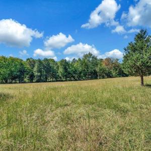 Photo #47 of 31934 INDIANTOWN RD, LOCUST GROVE, VA 30.0 acres