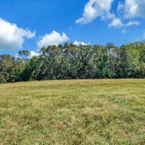 Photo #49 of 31934 INDIANTOWN RD, LOCUST GROVE, VA 30.0 acres