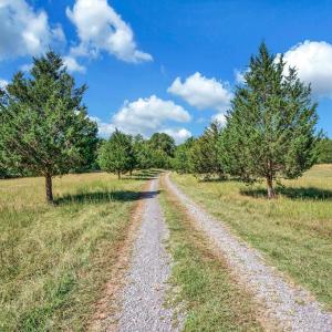 Photo #5 of 31934 INDIANTOWN RD, LOCUST GROVE, VA 30.0 acres