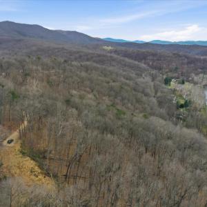 Photo #21 of 509 RIVER VIEW PL, SHENANDOAH, VA 3.1 acres