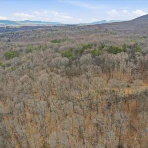 Photo #22 of 509 RIVER VIEW PL, SHENANDOAH, VA 3.1 acres