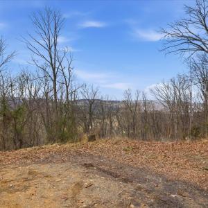 Photo #4 of 509 RIVER VIEW PL, SHENANDOAH, VA 3.1 acres