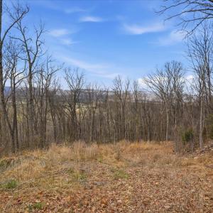 Photo #2 of 509 RIVER VIEW PL, SHENANDOAH, VA 3.1 acres