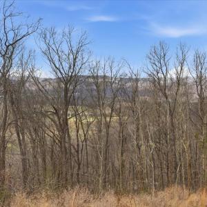 Photo #3 of 509 RIVER VIEW PL, SHENANDOAH, VA 3.1 acres