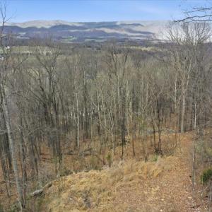 Photo #11 of 509 RIVER VIEW PL, SHENANDOAH, VA 3.1 acres