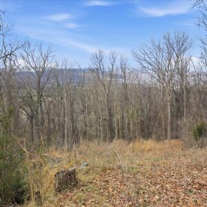 Photo #9 of 509 RIVER VIEW PL, SHENANDOAH, VA 3.1 acres