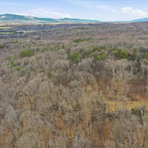 Photo #24 of 509 RIVER VIEW PL, SHENANDOAH, VA 3.1 acres