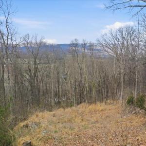 Photo #10 of 509 RIVER VIEW PL, SHENANDOAH, VA 3.1 acres