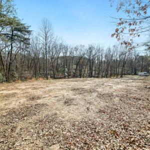 Photo #2 of 2501 LAKE FOREST LANE, BUMPASS, VA 2.1 acres