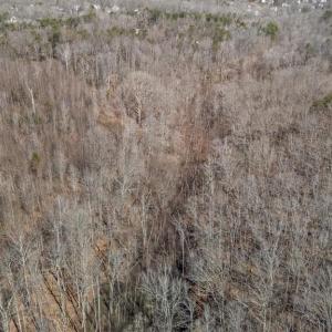 Photo #25 of MASSAPONAX CHURCH RD, FREDERICKSBURG, VA 20.6 acres