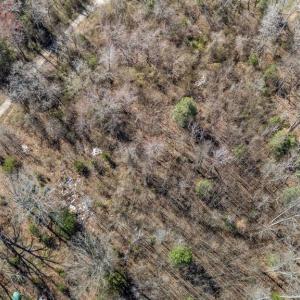 Photo #36 of MASSAPONAX CHURCH RD, FREDERICKSBURG, VA 20.6 acres