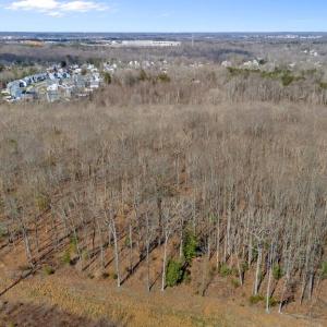 Photo #16 of MASSAPONAX CHURCH RD, FREDERICKSBURG, VA 20.6 acres