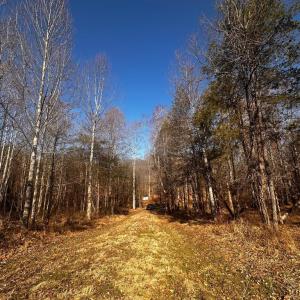 Photo #1 of MARQUIS RD, ORANGE, VA 7.5 acres