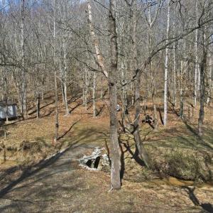 Photo #6 of MARQUIS RD, ORANGE, VA 7.5 acres