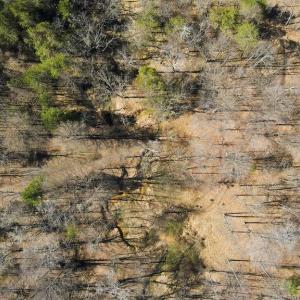 Photo #17 of MARQUIS RD, ORANGE, VA 7.5 acres