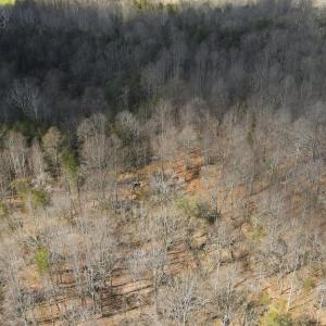 Photo #16 of MARQUIS RD, ORANGE, VA 7.5 acres