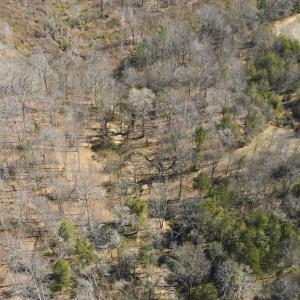 Photo #3 of MARQUIS RD, ORANGE, VA 7.5 acres