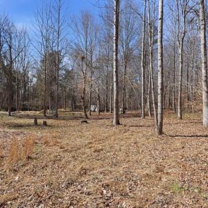 Photo #11 of MARQUIS RD, ORANGE, VA 7.5 acres