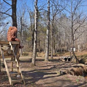 Photo #14 of MARQUIS RD, ORANGE, VA 7.5 acres