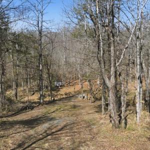 Photo #8 of MARQUIS RD, ORANGE, VA 7.5 acres
