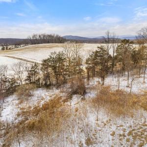 Photo #8 of 33 DOCS RD, CULPEPER, VA 5.0 acres