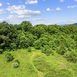 Photo #20 of 33 DOCS RD, CULPEPER, VA 5.0 acres
