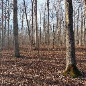 Photo #4 of R/W OFF JUSTICE DR, ORANGE, VA 10.0 acres