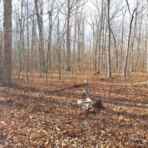 Photo #6 of R/W OFF JUSTICE DR, ORANGE, VA 10.0 acres