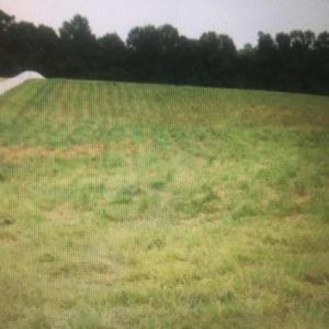 Photo #4 of 6713 SUNRISE BAY DR, MINERAL, VA 6.6 acres