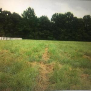 Photo #6 of 6713 SUNRISE BAY DR, MINERAL, VA 6.6 acres