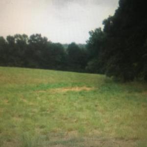 Photo #5 of 6713 SUNRISE BAY DR, MINERAL, VA 6.6 acres