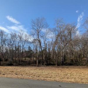 Photo #2 of FORD AVE, STANARDSVILLE, VA 0.6 acres