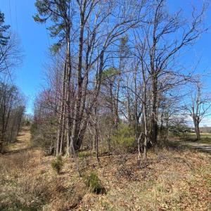 Photo #3 of 8424 KILBY RD, CULPEPER, VA 5.1 acres