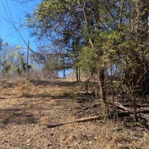 Photo #6 of 8424 KILBY RD, CULPEPER, VA 5.1 acres