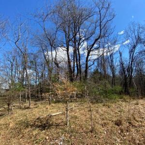 Photo #11 of 8424 KILBY RD, CULPEPER, VA 5.1 acres