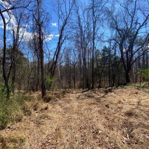 Photo #10 of 8424 KILBY RD, CULPEPER, VA 5.1 acres