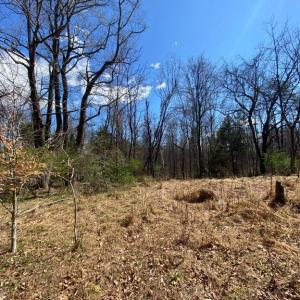 Photo #12 of 8424 KILBY RD, CULPEPER, VA 5.1 acres