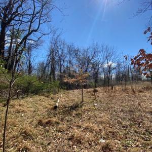 Photo #13 of 8424 KILBY RD, CULPEPER, VA 5.1 acres