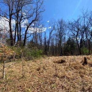 Photo #14 of 8424 KILBY RD, CULPEPER, VA 5.1 acres