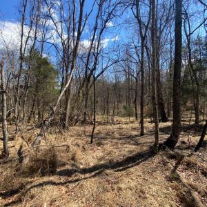 Photo #9 of 8424 KILBY RD, CULPEPER, VA 5.1 acres