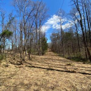 Photo #7 of 8424 KILBY RD, CULPEPER, VA 5.1 acres