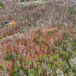 Photo #12 of LOT 7B OLD STILLHOUSE RD, BOSTON, VA 8.7 acres